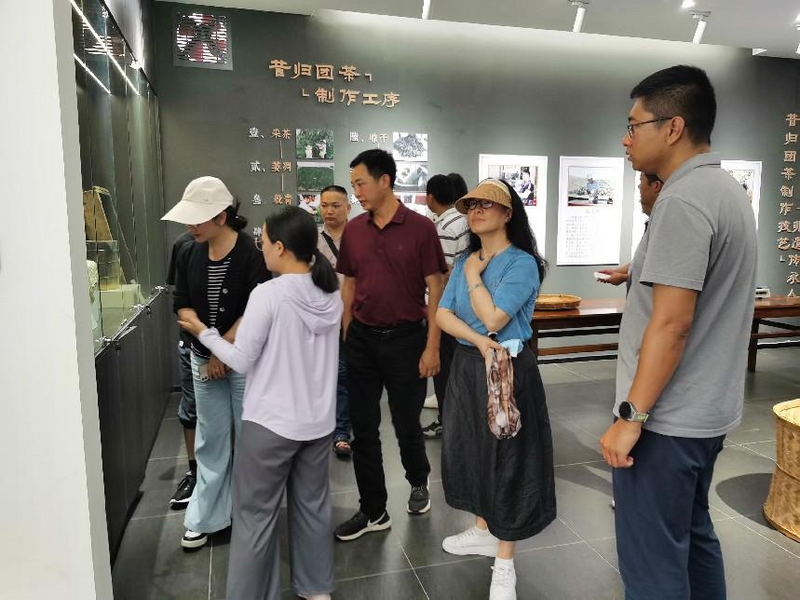 关于腾冲市政协深入临翔区调研茶叶产业发展情况的内容(1)