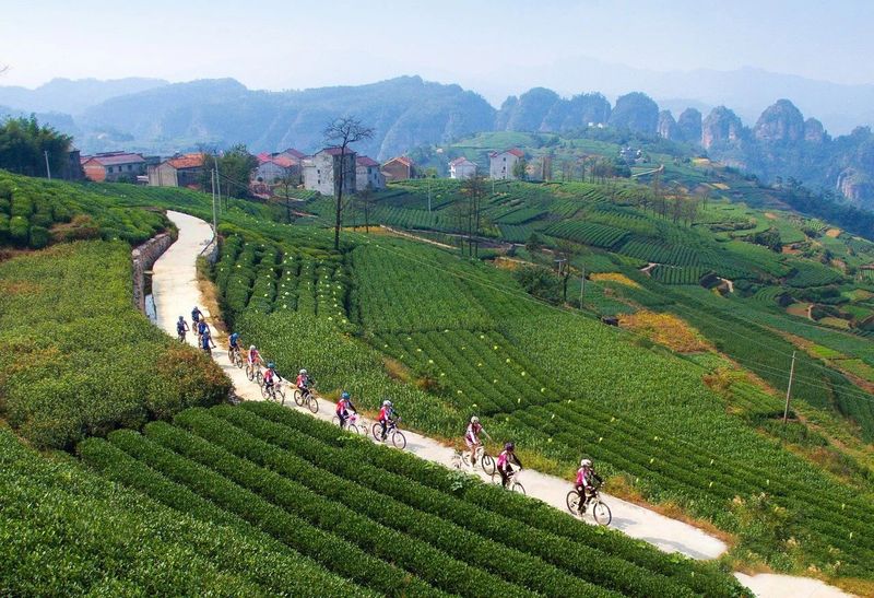 关于浙江新昌：唐诗之路、佛教之旅、茶道之源的信息(4)