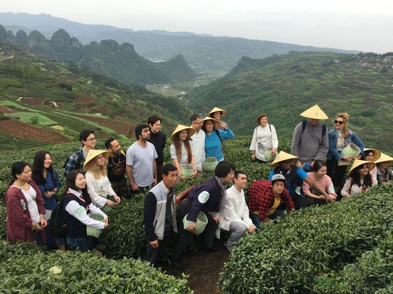 关于浙江新昌：唐诗之路、佛教之旅、茶道之源的信息(5)