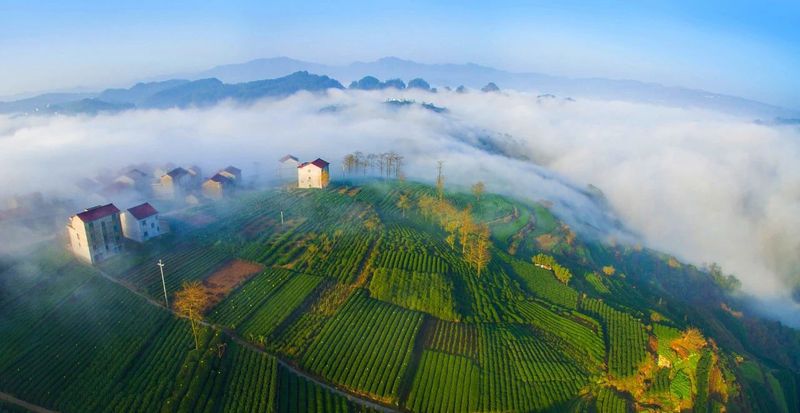 关于浙江新昌：唐诗之路、佛教之旅、茶道之源的信息(12)