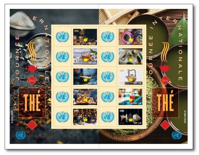 有关于一片神奇的叶子!的消息(12)