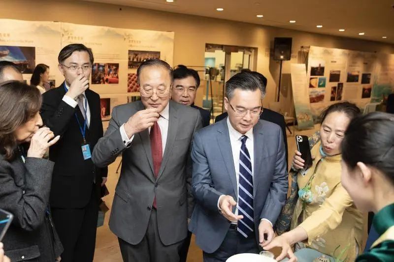 有关于一片神奇的叶子!的消息(7)