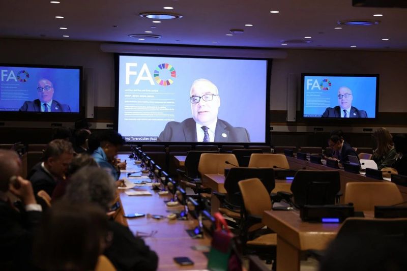 有关于一片神奇的叶子!的消息(2)