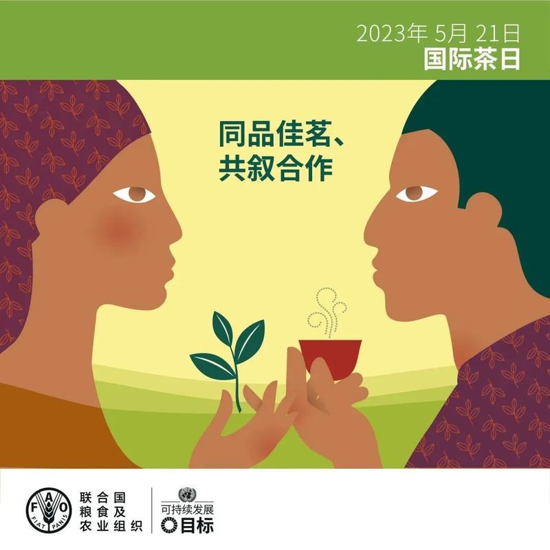 有关于一片神奇的叶子!的消息