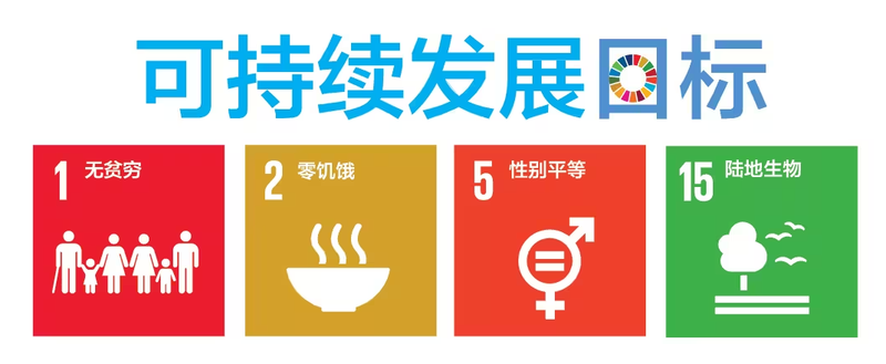 有关于一片神奇的叶子!的消息(16)