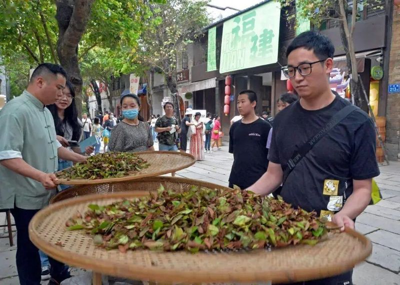 关于当国际茶日遇上小满，共享茶非遗“大满贯”！的新闻(7)