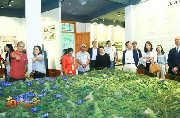 有关于南平市茶文化茶产业国际交流合作研讨会圆满举办的新闻(5)