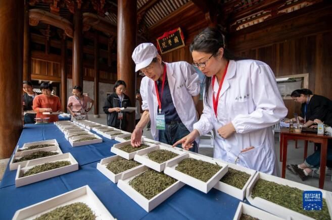 有关于浙江金华：茶叶加工技能比高低的消息(1)