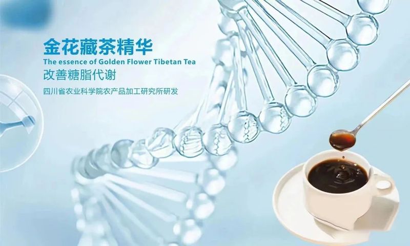 有关于科技与健康——金花藏茶深加工产品发布会圆满举行的相关内容(7)