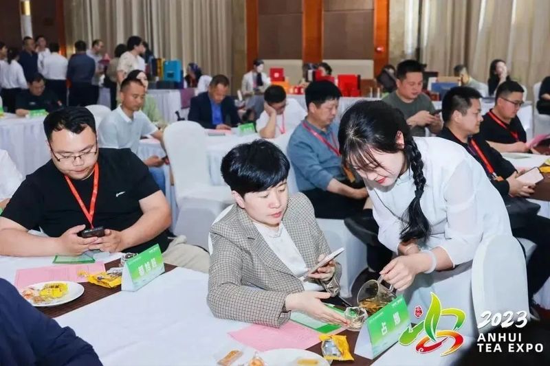 关于“皖美徽茶”品鉴交流会成功举行的消息(5)