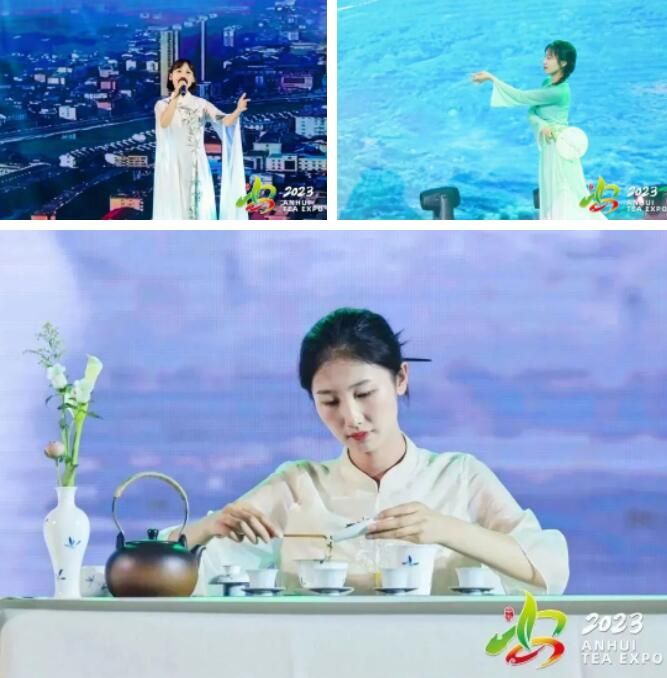 关于“皖美徽茶”品鉴交流会成功举行的消息(7)