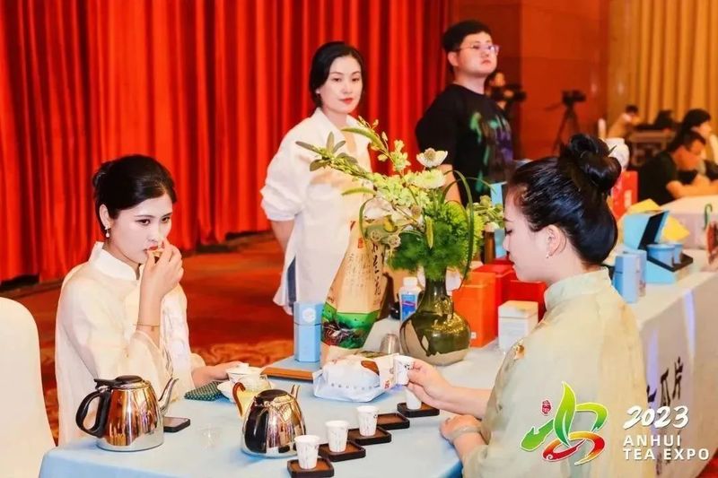 关于“皖美徽茶”品鉴交流会成功举行的消息(4)
