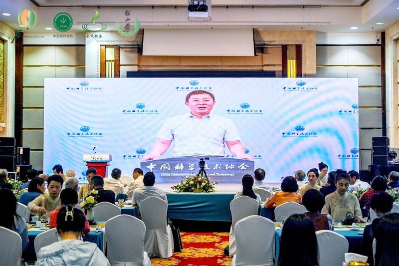 关于茶和世界 共品共享——第四届“美美与共”云茶会在杭州余杭举行的资讯(9)