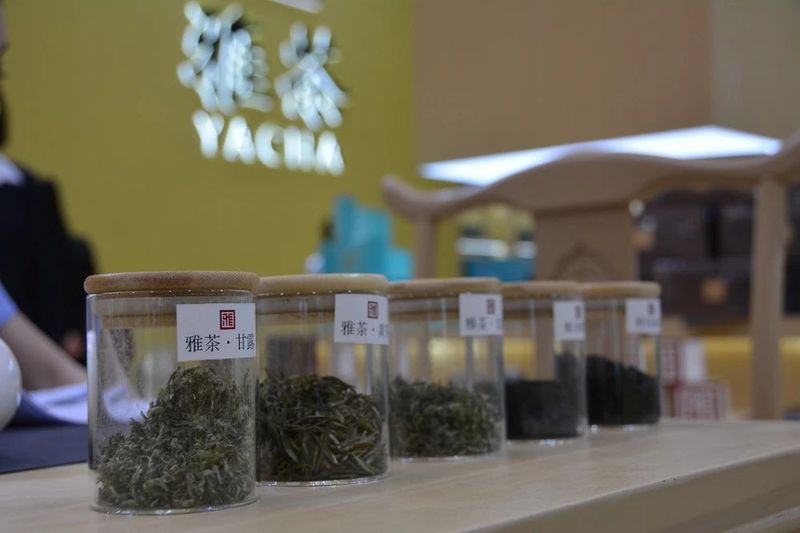 关于雅安国雅藏茶荣获“四川最具影响力茶叶单品”称号的相关内容(2)