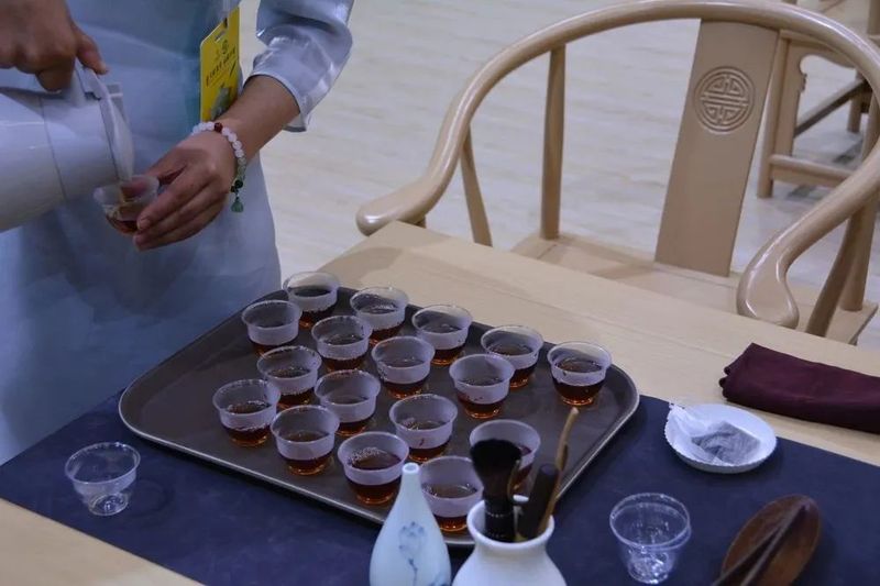 关于雅安国雅藏茶荣获“四川最具影响力茶叶单品”称号的相关内容(1)