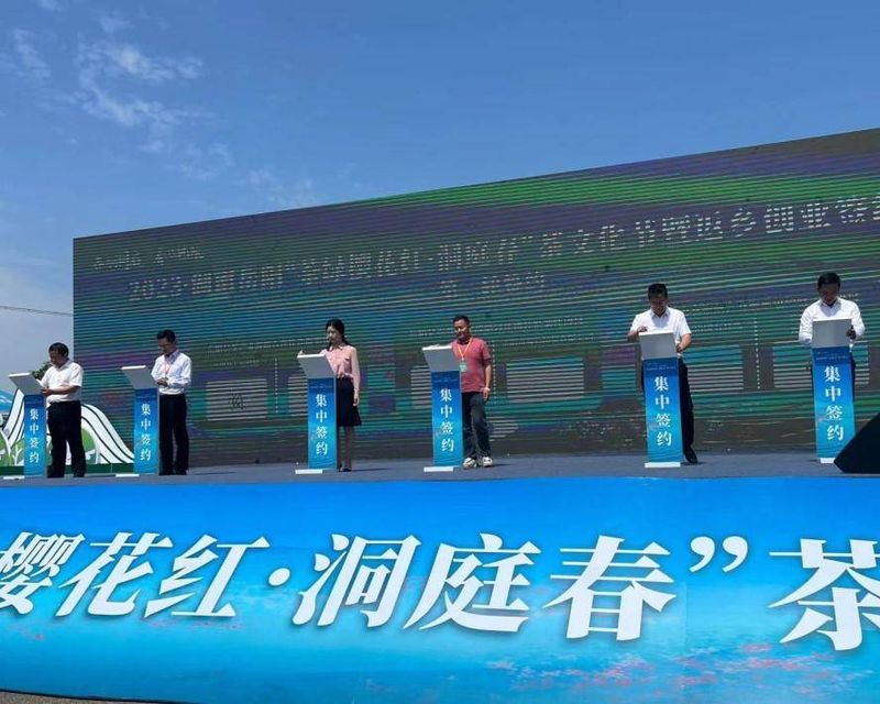 有关于茶香洞庭，春满巴陵！岳阳“洞庭春”茶文化节开幕 的相关内容