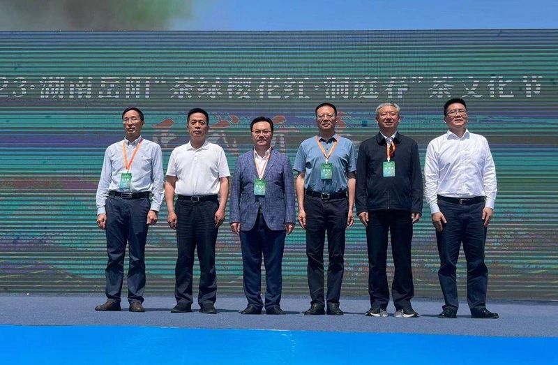 有关于茶香洞庭，春满巴陵！岳阳“洞庭春”茶文化节开幕 的相关内容(3)