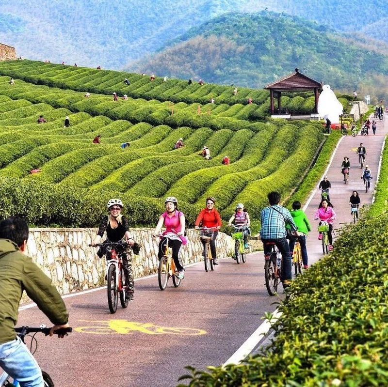 关于人间至味“宜兴红” ：茶产业引领下的乡村振兴之路的消息(19)