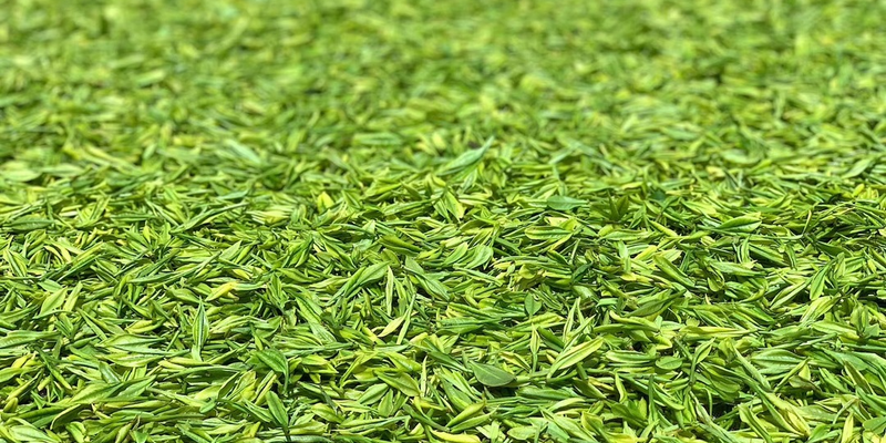 关于人间至味“宜兴红” ：茶产业引领下的乡村振兴之路的消息(10)