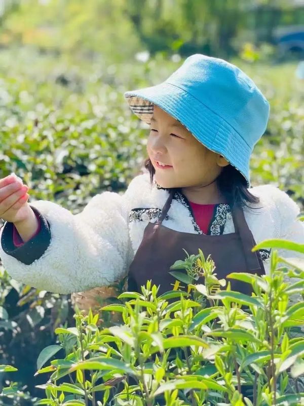 关于人间至味“宜兴红” ：茶产业引领下的乡村振兴之路的消息(18)