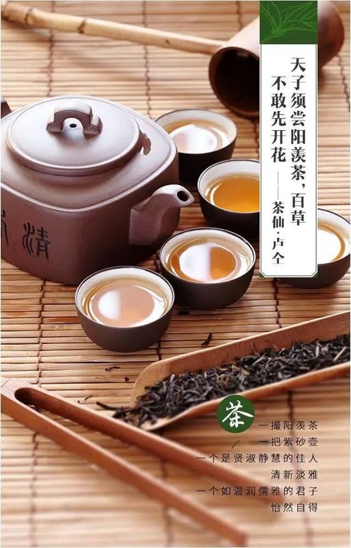 关于人间至味“宜兴红” ：茶产业引领下的乡村振兴之路的消息(13)