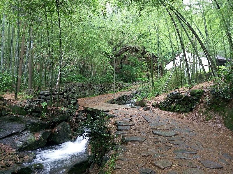 有关于古城绍兴 越茗飘香——绍兴茶，一壶饮尽江南风雅的相关内容(1)