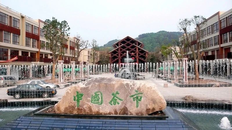 有关于古城绍兴 越茗飘香——绍兴茶，一壶饮尽江南风雅的相关内容(7)