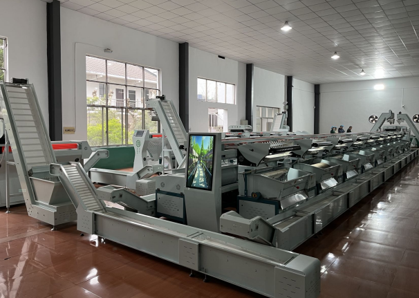 有关于古城绍兴 越茗飘香——绍兴茶，一壶饮尽江南风雅的相关内容(5)