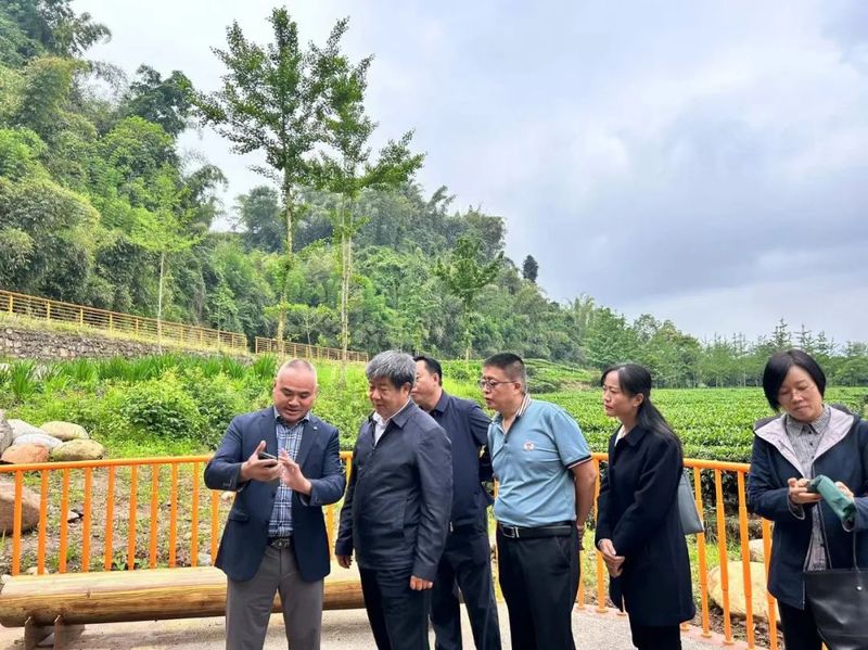 关于做好“三茶”统筹大文章 打造融合发展新业态——西双版纳州政协赴四川、重庆学习考察的最新消息(5)