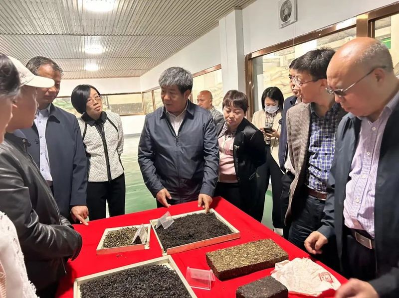 关于做好“三茶”统筹大文章 打造融合发展新业态——西双版纳州政协赴四川、重庆学习考察的最新消息(8)