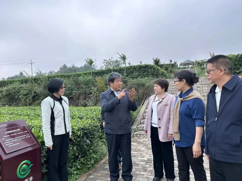 关于做好“三茶”统筹大文章 打造融合发展新业态——西双版纳州政协赴四川、重庆学习考察的最新消息(12)