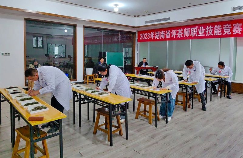 关于2023年湖南省评茶师职业技能竞赛岳阳赛区选拔赛成功举办的最新消息(8)