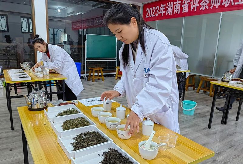 关于2023年湖南省评茶师职业技能竞赛岳阳赛区选拔赛成功举办的最新消息(9)