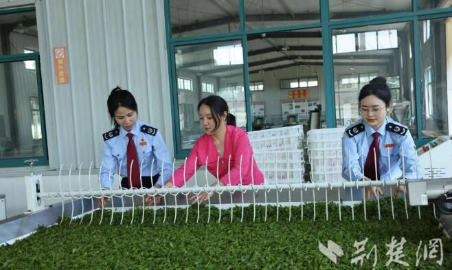 关于孝南：秀美之城的茶颜“税”色的相关内容(3)