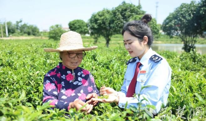 关于孝南：秀美之城的茶颜“税”色的相关内容(2)