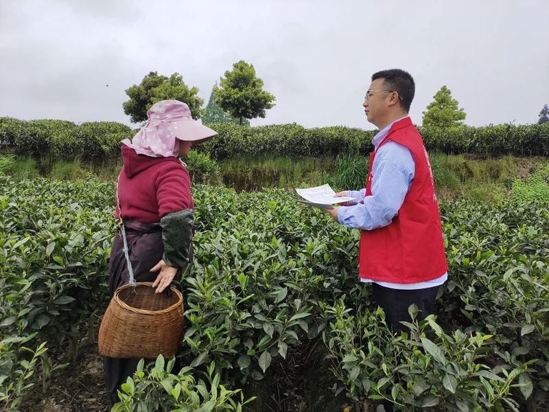 关于以茶为媒为禁毒代言——名山开展“茶+禁毒”宣传活动，助力乡村振兴的相关内容(1)