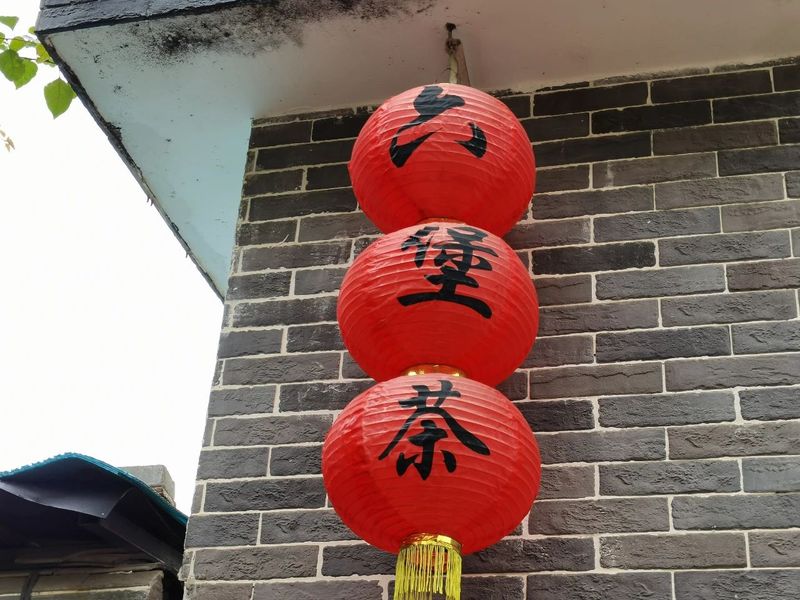 关于苍梧好“村”光：塘平村，以茶兴村、以茶强村的相关信息(11)