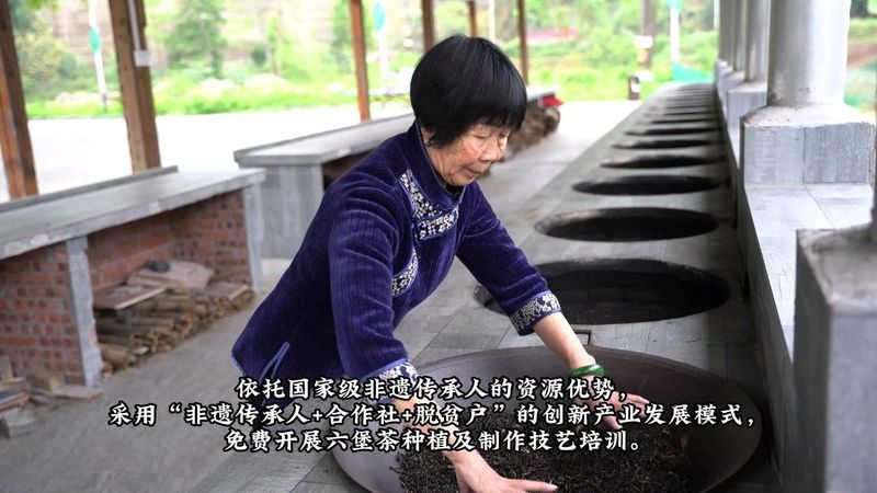 关于苍梧好“村”光：塘平村，以茶兴村、以茶强村的相关信息(2)