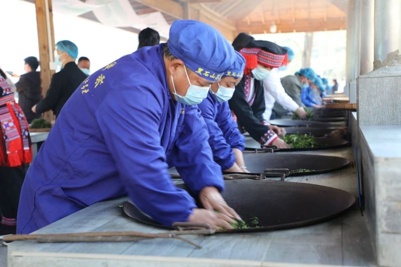 关于苍梧好“村”光：塘平村，以茶兴村、以茶强村的相关信息(5)