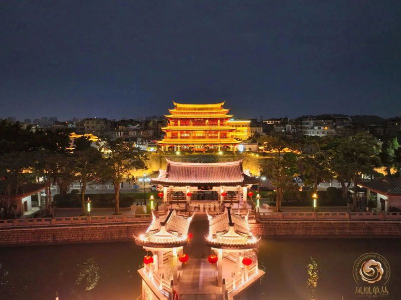 关于2023潮州工夫茶大会构筑粤茶文化新高地的资讯(16)