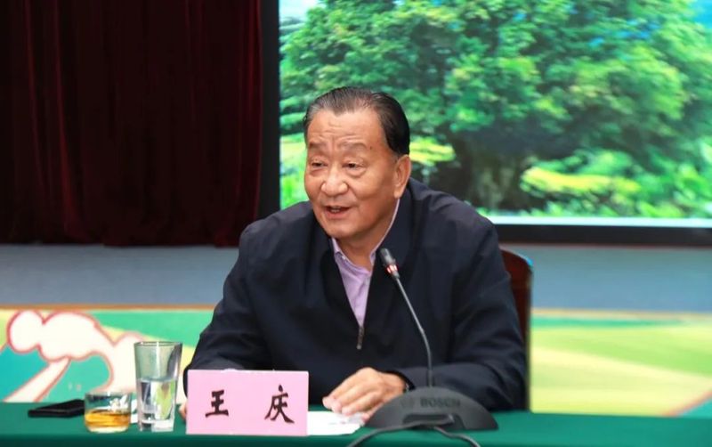 有关于临沧市茶叶产业发展座谈会召开 加快茶叶产业转型升级助推临沧茶叶产业全产业链高质量发展的内容(3)