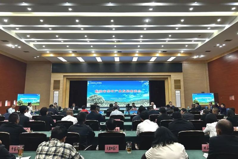有关于临沧市茶叶产业发展座谈会召开 加快茶叶产业转型升级助推临沧茶叶产业全产业链高质量发展的内容