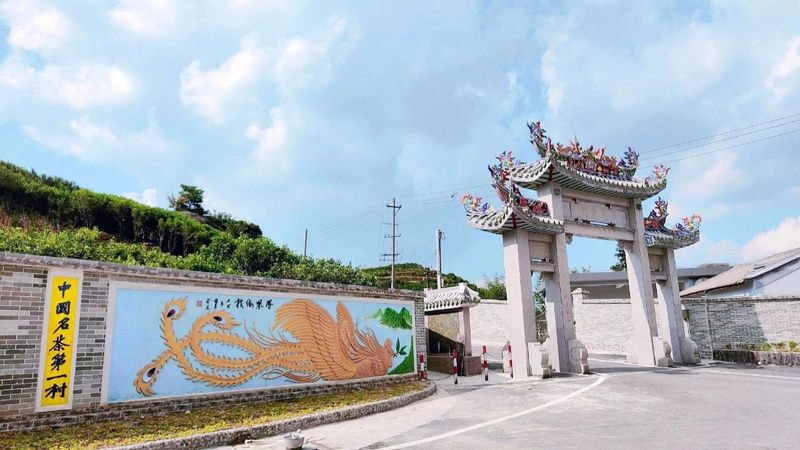 关于凤凰镇：茶旅融合发展 赋能乡村振兴的信息(3)