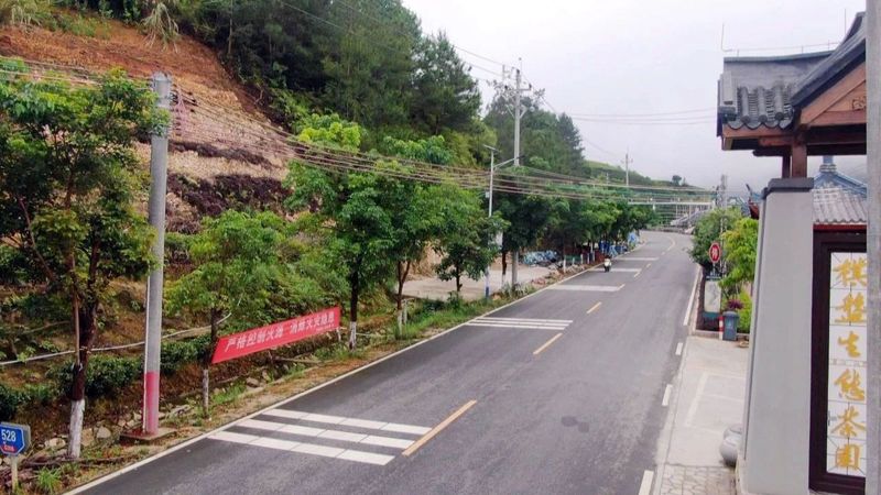 关于凤凰镇：茶旅融合发展 赋能乡村振兴的信息(1)