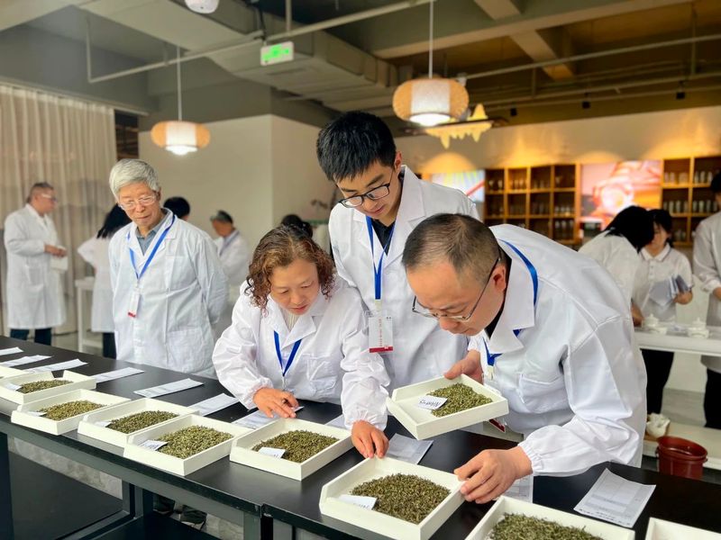 关于比出好茶 助力打响雅安茶品牌 第十届“蒙顶山杯”斗茶大赛圆满举办的相关内容