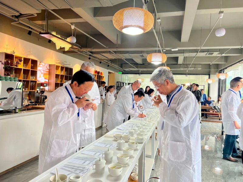 关于比出好茶 助力打响雅安茶品牌 第十届“蒙顶山杯”斗茶大赛圆满举办的相关内容(1)