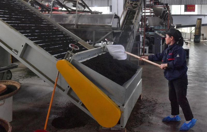 关于贵州凤冈：凤冈茶叶产业“六万”行动收效好的相关信息(5)