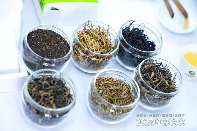 关于茶界聚焦：2023红茶大会暨“天下茶尊·红茶之都”云南临沧（凤庆）红茶节开幕的最新消息(6)