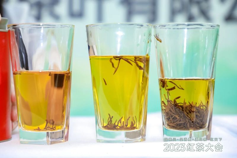 关于茶界聚焦：2023红茶大会暨“天下茶尊·红茶之都”云南临沧（凤庆）红茶节开幕的最新消息(7)
