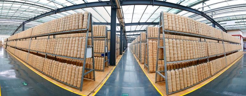 关于走进安化黑茶晾晒中心，品味茶叶中“阳光的味道”的最新消息